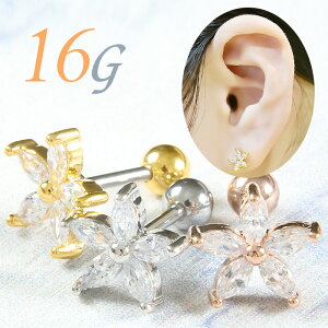  sAX 16g sAX {fBsAX    p C[u p gKX wbNX T[WJXeX AM[Ή Vo[ S[h sNS[h t