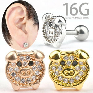 sAX 16g 16Q[W  sAX  {fBsAX  sAX p C[ u p gKX wbNX ςȂ ×p T[WJXeX