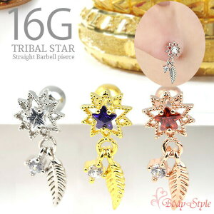 sAX  16g 16Q[W {fBsAX `[  X^[ 킢 GXjbN gCo sAX  p C[ u p gKX wbNX T[WJXeX urk