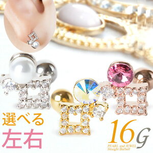  sAX 16g {fBsAX p[ T[WJXeX AM[Ή sAX   p C[ u p gKX wbNX Vo[ S[h sNS[