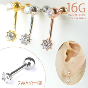 {fBsAX 16g `[ 2way  sAX WG T[WJXeX AM[Ή sAX   p p gKX wbNX Vo[ S[h sNS ur