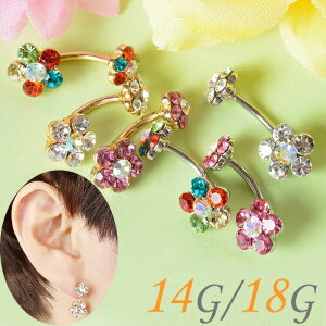 yV1 ւsAX 킢 14g 18g {fBsAX {fB[sAX  sAX LL Ԃ̃sAX LL w\s ւs w\sAX oiio[x w\ ւ ԃ`[t J[uo