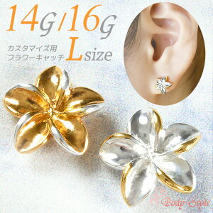 Lb`̂ {fBsAX Lb` p[c 14g 16g  vA gKX ˂ JX^}CY nCAWG[ lW  p sAX p C[ u Vo[ S[