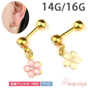 {fBsAX `[ 16g 14g  sAX sAX   p C[u p gKX wbNX  t[ WG Xg[go[x T[WJXeX A
