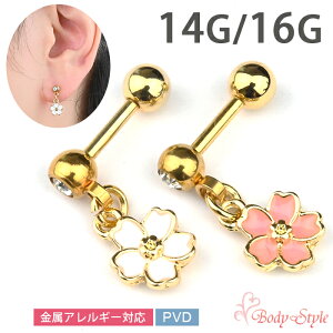 {fBsAX  `[ 16g 14g  sAX sAX   p C[u p gKX wbNX  t[ WG Xg[go[x T[WJXeX