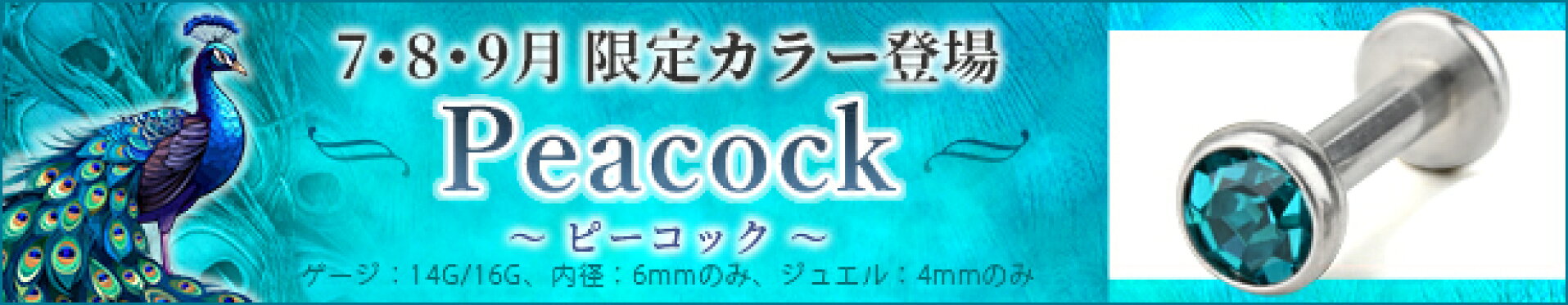 e05-31 限定カラー　7/8/9月