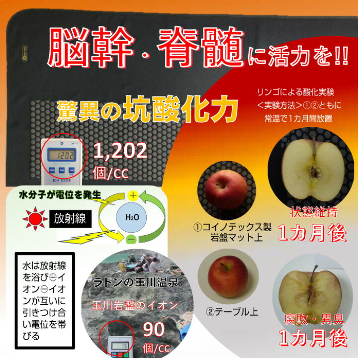 楽天市場】エナジーラバー ラジウム岩盤脊髄シート ER-03RT 送料無料 