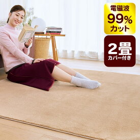 【クーポンで10000円OFF！】ゼンケン 電気ホットカーペット 2畳用 本体＋カバー付き ZENKEN 電磁波(磁界)99％カットZC-20SM W176×D176cm 2畳タイプ ホットマット 電気マット 電気敷きマット 温熱マット 電熱マット 省エネ