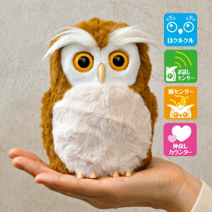 yN[|1000~OFFI11/16 23:59܂Łznbs[ӂ낤 ^Jg~[A[c ӂ낤 ׂ Fl` J^ObY 肢ObY J^AhoCU[ nbs[ӂ낤  tNE 