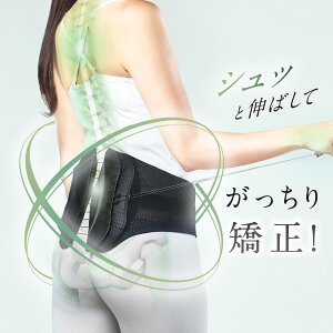 yN[|1000~OFFI10/17AM9:59܂ŁzWAVEWAVE o[xg LUMBAR BELT Ճxg  T|[^[ Ջ  RZbg  T|[^[ T|[gxg xg pxg Y NO