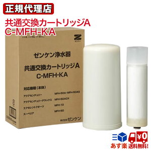 ʌJ[gbW [ANAZ`[ ANAZ`[fbNX GNZgNH[c X[yA] [C-MFH-KA] ZENKEN򐅊 [P