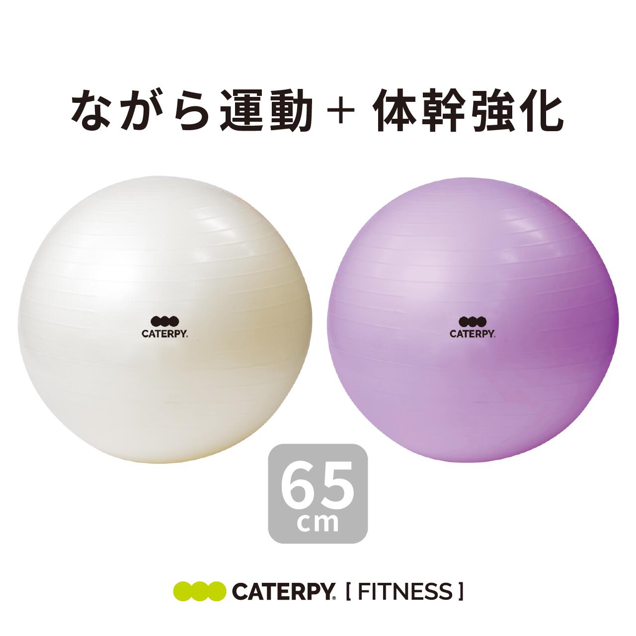 楽天市場】【CATERPY】フィットネスボール 65cm バランスボール