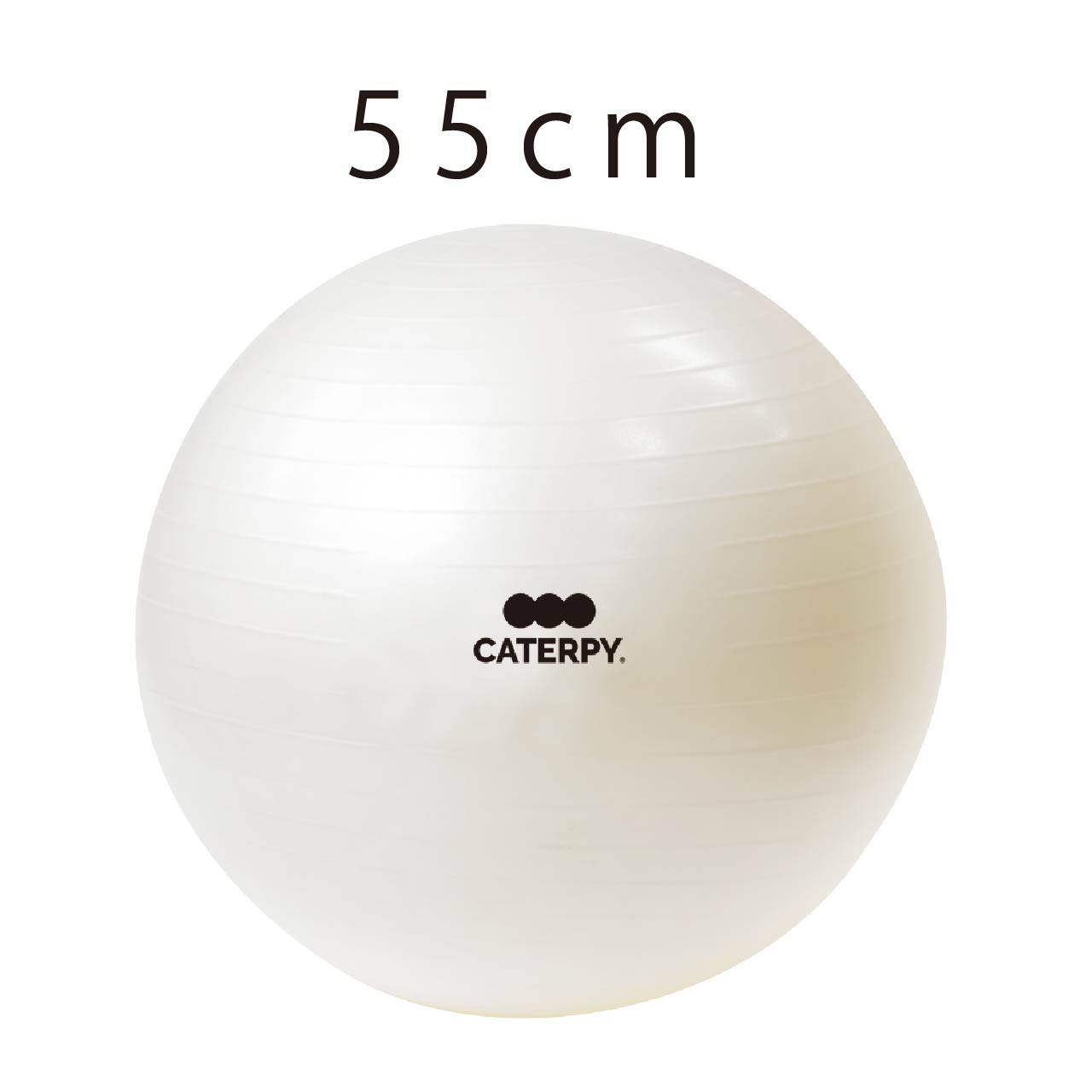 楽天市場】【CATERPY】フィットネスボール 55cm バランスボール