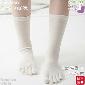 綿100% 靴下 5本指 日本製 冷えとり靴下 重ねばき靴下 冷え取り 冷え性 くつ下 無地 ソックス 敏感肌