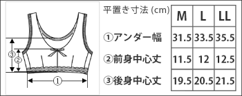 サイズ