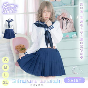 RXv  Z[[  傫TCY } XJ[g ؍ ߑ ZNV[ RX`[  fB[X 킢  傫TCY Zbg ꎮ Ղ Cxg p[eB[ 