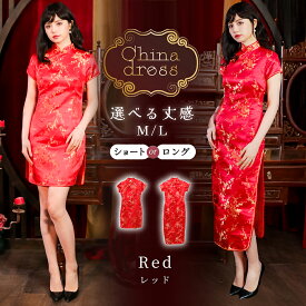 コスプレ チャイナドレス コスプレ チャイナ服 ミニ ロング 半袖 衣装 セクシー コスチューム ワンピース かわいい 可愛い 選べる 大きいサイズ セット イベント 大人 おしゃれ 中国 中華 中華風 中華街 スリット