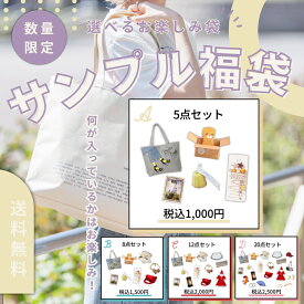 【1000円ポッキリ 送料無料】サンプル品福袋 大人気 レディース 服 雑貨 クリスマス サンタ パーティードレス サンプル セット 福袋 ランダム バッグ トートバッグ バッグ 靴下 1500円 2000円 2500円 運試し アウトレット