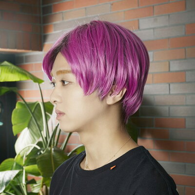 楽天市場 ハロウィン ウィッグ コスプレ ウィッグ メンズ ミドル ロング 紫髪 パープル ふんわり 派手 韓流 韓国 フルウィッグ ファッション おしゃれ メンズウィッグ つけ毛 エクステ Kpop ライブ 男装 変装 かつら あす楽 ハロウィンコスプレ コスプレ衣装 ボディーライン