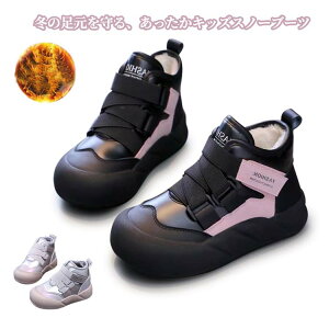 Xm[u[c qC LbY qp h h {Au[c  K[Y U[ N h 킢 AEghA ̎q ₷  gh ~p Xm[u[c ʊw h