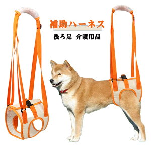 ���p���n�[�l�X �� �⏕�n�[�l�X ��둫 ���p�i ���s�⏕ ���p���s�T�|�[�g �U�� ���s�⏕ �U���p ���s�T�|�[�g �V���p �n�[�l�X ��둫�T�|�[�g ���n�[�l�X ���萫���Q ���^�� ���^�� 