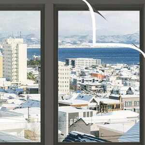 fMV[g ~̖̑h fMJ[e S20TCY Wbp[ }WbNe[v ̗C΍ x  NA ۉ h h CXgbv Ch ΍ Ih~ g[ߖ 