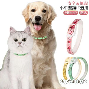 p Lp  VRA}IC 悯   m~   ߉\ȃybgOpi ߉\ ϖՐ h  _j 