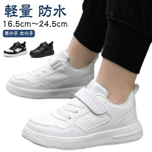 }WbNe[v w ɂ ̎q j̎q Xj[J[ w h j LbY w ʊwC ₷ C y h  wZ WjA ^ qC ^C