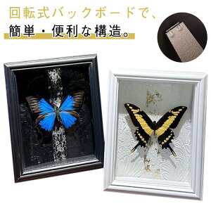 ݃tHgt[ [2cm {bNXt[ W{̊z tHgt[ DIYW{  W t[ [{bNX ^KX ` u^ Ǌ| fBXv hCt[ X^h 