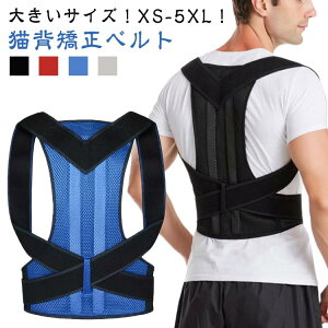 Lwxg w؋xg Lwxg 傫TCY Lw xg P LwP  ⏕ Ȃ pxg ␳ LwT|[^[ p  w؋T|[^[ T|[^[ 