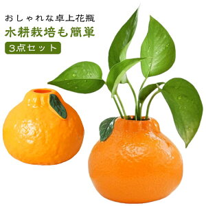 t[x[X ~J 3_Zbg ԕr ی^ ԓ ֑} IW` vX`bN CeA t[c k͔| ϗtA ^ ԓ G Ԋ Vv CX^O ~j  