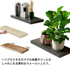 EH[VFt VR X VR bN uPbg 43cm t[eBOEH[VFt Ǌ| Ǌ| Ch^Cv fBXvC Ǌ|I ǖʎ[ [ I EH[bN 