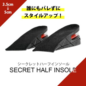 V[Nbgn[tCq[ BODYMAKER {fB[J[ Ռz 3.5cm 5cm gAbv gUP V[Nbg NbV ~ V[NbgC\[ V[NbgV[Y Y fB[