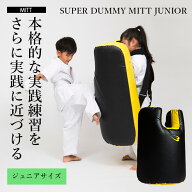 【P10倍★11日まで】 スーパーダミーミットシールド ミディアムサイズ BODYMAKER ボディメーカー ダミー…