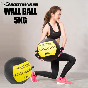 メディシンボール 腹筋 インナーマッスル トレーニングの人気商品 通販 価格比較 価格 Com