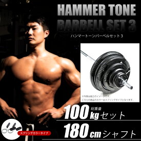 BODYMAKER（ボディメーカー）ハンマートーンバーベル 100kgセット シャフト180cm ダンベル バーベル ベンチプレス 筋トレ トレーニング器具 可変式ダンベル 2個セット プレート ダンベルプレート インクラインベンチ 50kg 2個 ダンベル100Kg