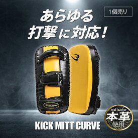 【期間限定P5倍】キックミットカーブ 本革 BODYMAKER ボディメーカー キックミット キック カーブ 格闘 ムエタイ 総合格闘