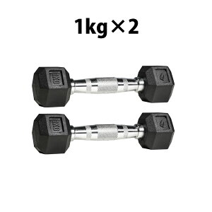 六角ダンベル1KG 2個セット BODYMAKER ボディメーカー PD009100ST 六角 ダンベル 1KG 1kg 1キロ ケトルベル トレーニングジム 筋トレ 筋肉 筋力 胸筋 ダンベルフライ