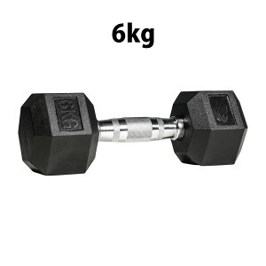 六角ダンベル 6KG BODYMAKER ボディメーカー PD009600 六角 ダンベル 6kg 6キロ ケトルベル トレーニングジム 筋トレ 筋肉 筋力 胸筋 ダンベルフライ