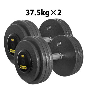 �W���p�n���}�[�g�[���_���x�� 37.5kg 2�Z�b�g BODYMAKER �{�f�B���[�J�[ �؃g�� ���� �̊��g���[�j���O �x���`�v���X �g���[�j���O �v���[�g �o�[�x�� �E�G�C�g�g���[�j���O �g���[�j���O�}