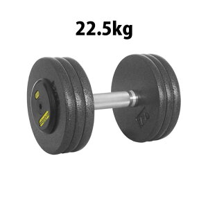 �W���p�n���}�[�g�[���_���x�� 22.5kg BODYMAKER �{�f�B���[�J�[ �؃g�� ���� �̊��g���[�j���O �x���`�v���X �g���[�j���O �v���[�g �o�[�x�� �E�G�C�g�g���[�j���O �g���[�j���O�}�V�� �؃g��