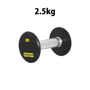 �W���p�n���}�[�g�[���_���x�� 2.5kg BODYMAKER �{�f�B���[�J�[ �؃g�� ���� �̊��g���[�j���O �x���`�v���X �g���[�j���O �v���[�g �o�[�x�� �E�G�C�g�g���[�j���O �g���[�j���O�}�V�� �؃g��