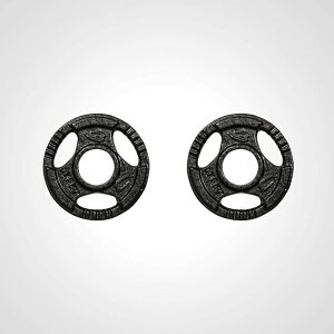 オリンピックハンマートーンプレート 1.25kg 2個セット BODYMAKER ボディメーカー オリンピック プレート ハンマートーン トレーニング セット