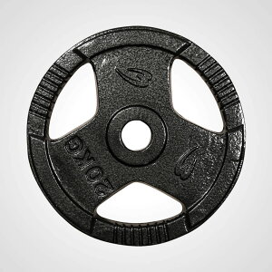 オリンピックハンマートーンプレート 20kg BODYMAKER ボディメーカー オリンピック プレート ハンマートーン トレーニング