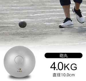C 4kg BODYMAKER {fB[J[ RA006400 ㋣Z Cۓ CۓpC