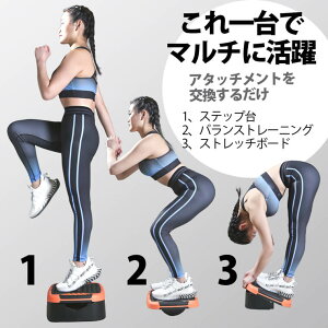 }`Xebv BODYMAKER {fB[J[ Xebv ݑ䏸~ GNTTCY g[jO  ݑ ~  GArNX X[Xebv ~^ _CGbg ؃g X