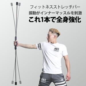 バトルバー2 BODYMAKER ボディメーカー フィットネス エクササイズ バー ジョイント式 体幹トレーニング コンパクト 背筋 腹筋 下半身 大胸筋 上腕