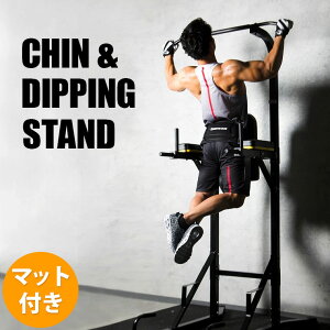 【期間限定ポイント5倍】チン&ディッピングスタンド トレーニングマットセット BODYMAKER ボディメーカー 腕 背筋 懸垂 ディップス 背中 トレーニングマシン 背筋トレーニング チンニングスタ