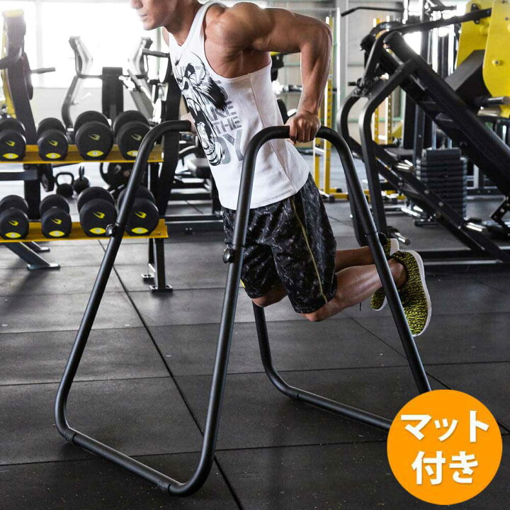 楽天市場】マルチディッピングスタンド トレーニングマットセット  
