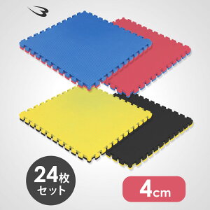 o[VuWCg}bg 4cm 24g BODYMAKER {fB[J[ tA}bg   W }bg Zbg g[jO}bg iZ WCg}bg 1m×1m×4cm 唻  t[J